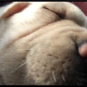 Meet your Posher, Camryn